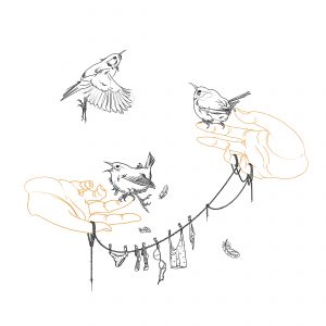 Wrens illustration tattoo design