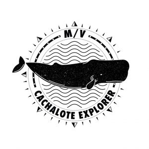Cachalote Explorer cruise logo